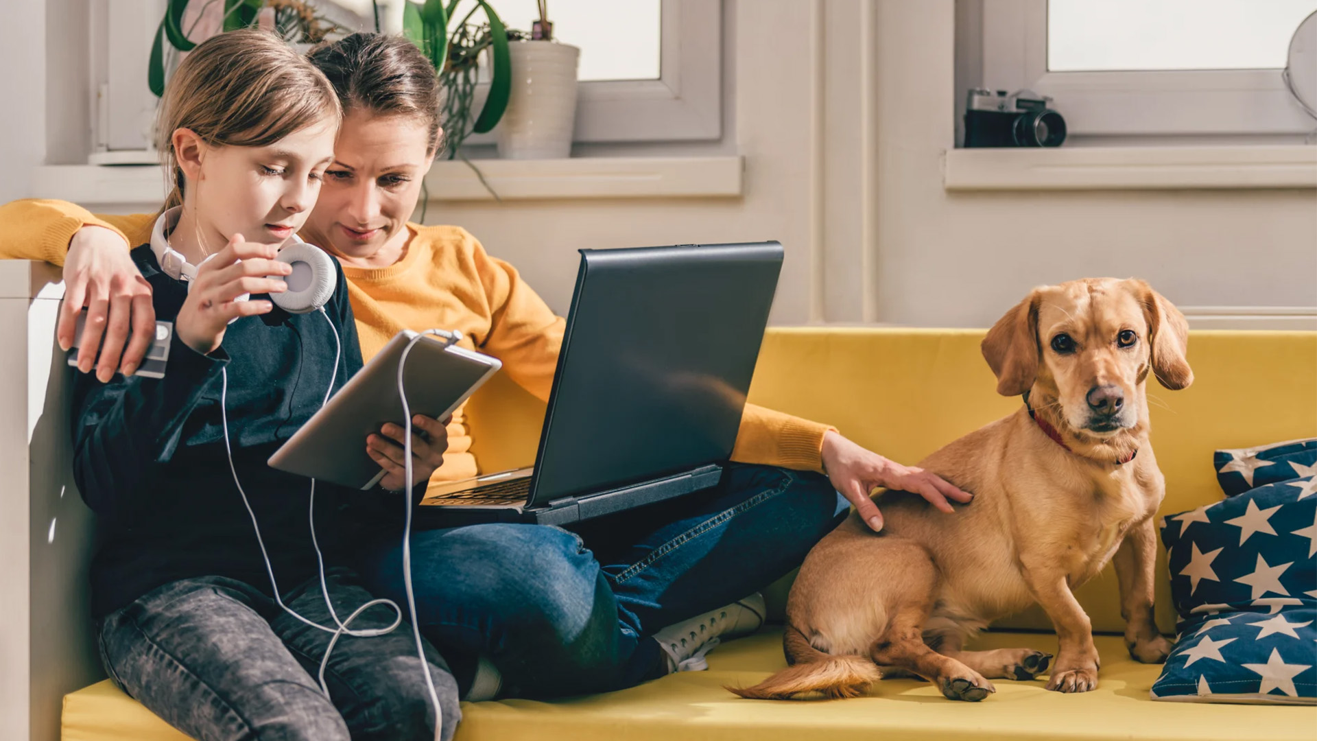 Two people of DPG Media sitting on a yellow sofa with a dog watching something on their laptop