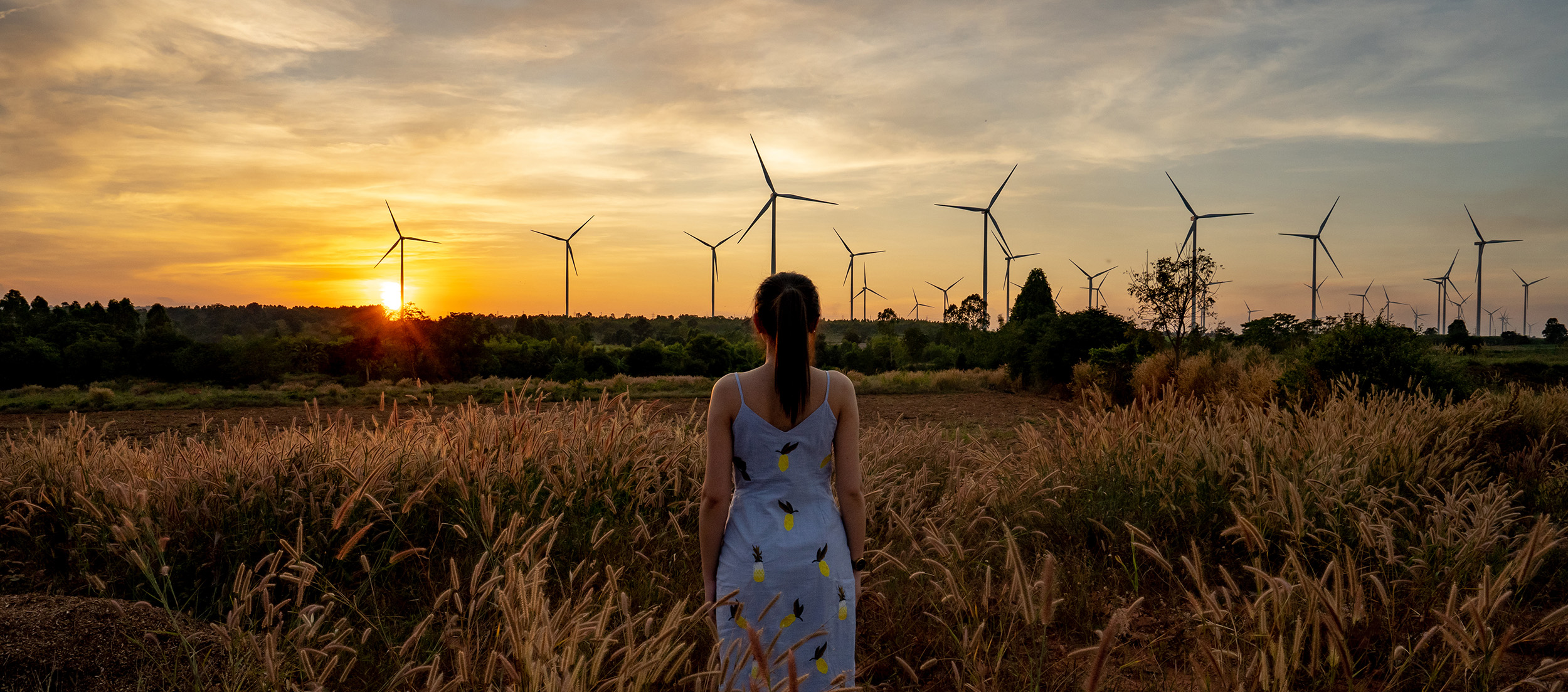 Luminus person standing in meadow with wind turbines in the background