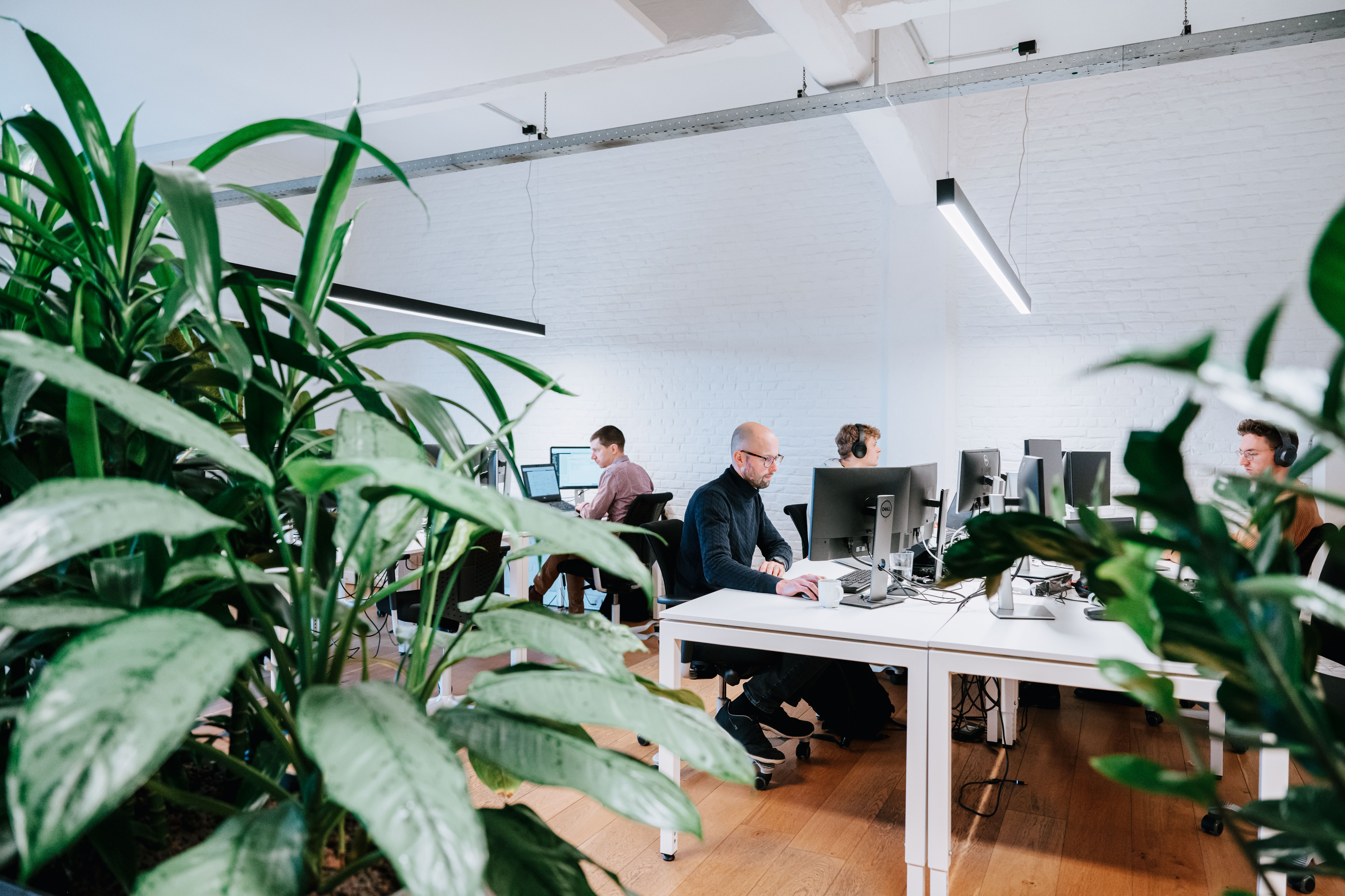 Overview of people working at the office