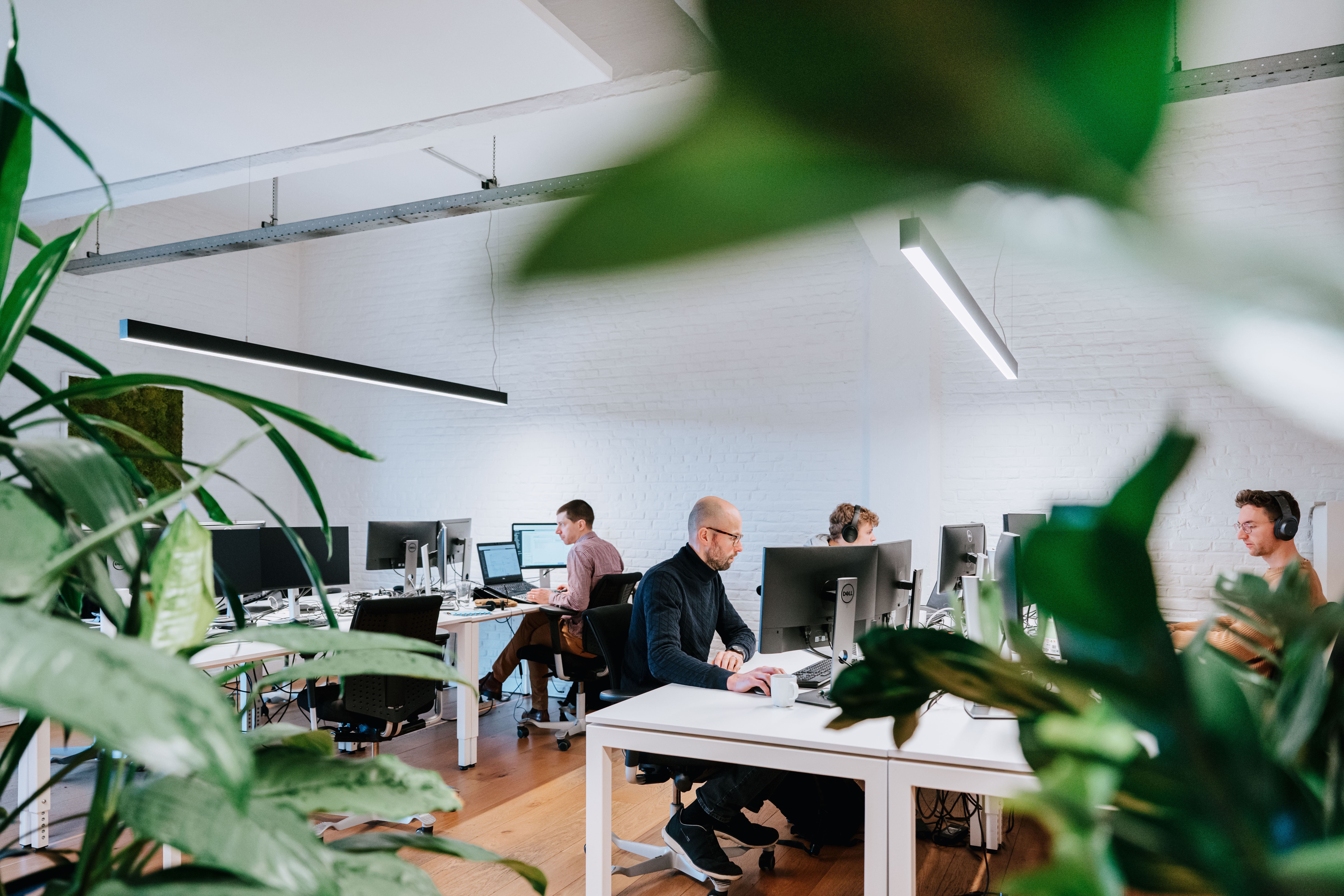 Wide shot of multiple people working in the office